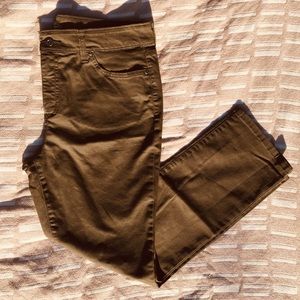 Olive Straight Chinos